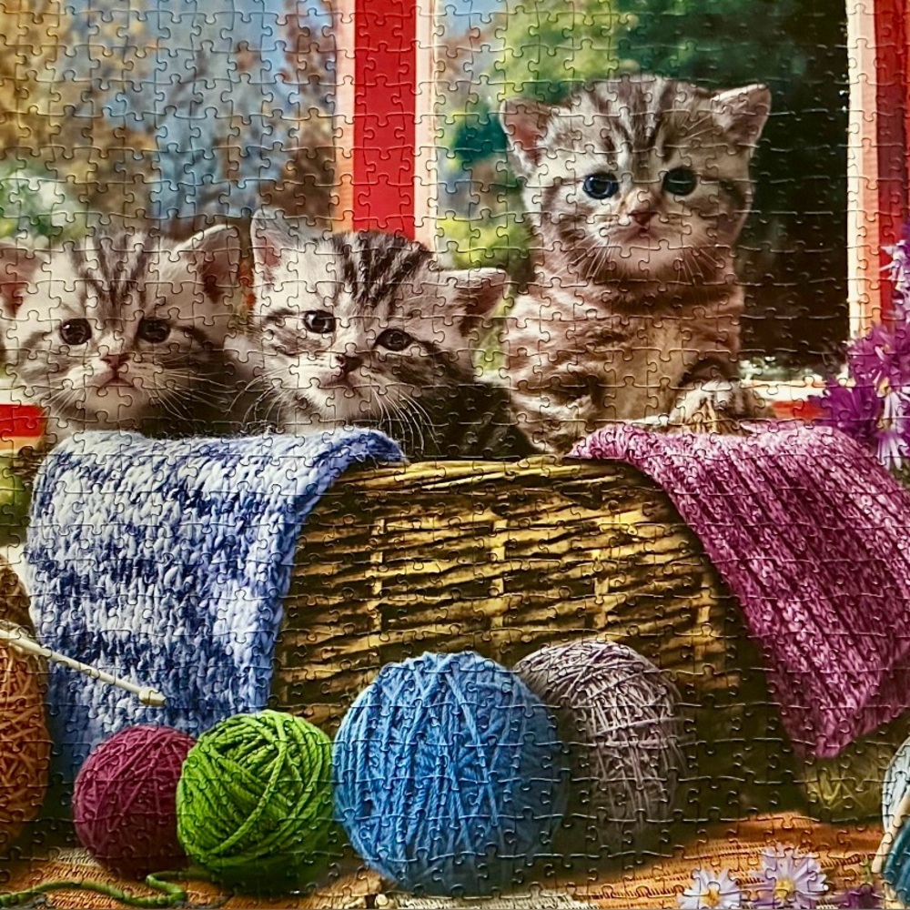 Eurographics Knittin' Kittens 1000 Piece Puzzle - Picture 4 of 4